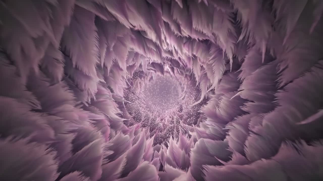 Abstract Feather Tunnel