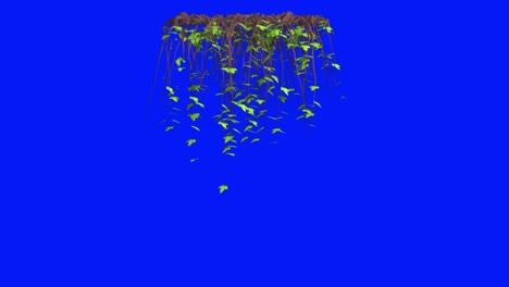 hanging vines with green leaves