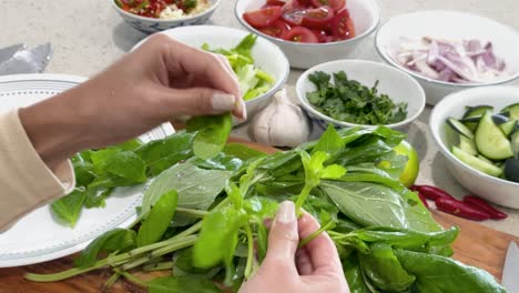close-up of hands selecting basil and celery on a kitchen counter with assorted vegetables in bright, natural lighting. overhead camera angle, steady shot