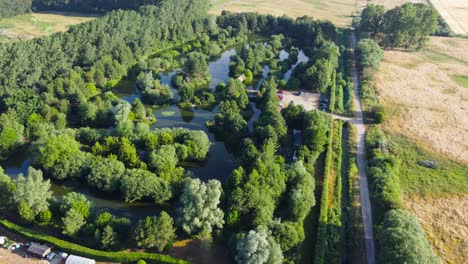 lush greenery of trees in fishing pond in rural norfolk in england - aerial drone shot