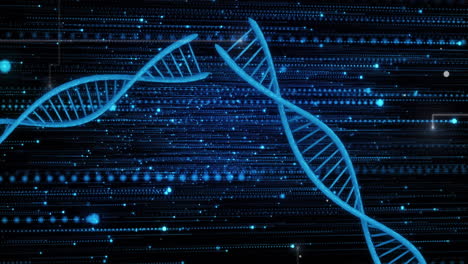 Animation-Der-Datenverarbeitung-über-DNA-Stränge