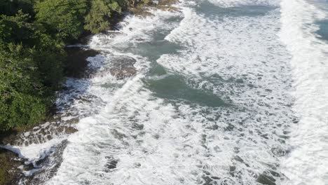birds eye of ocean waves with green forest and jungle
