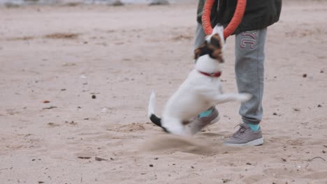mujer jugando con el perro en la orilla del mar