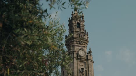 torre dos clérigos clock tower in porto seen behind olive branches at sunrise