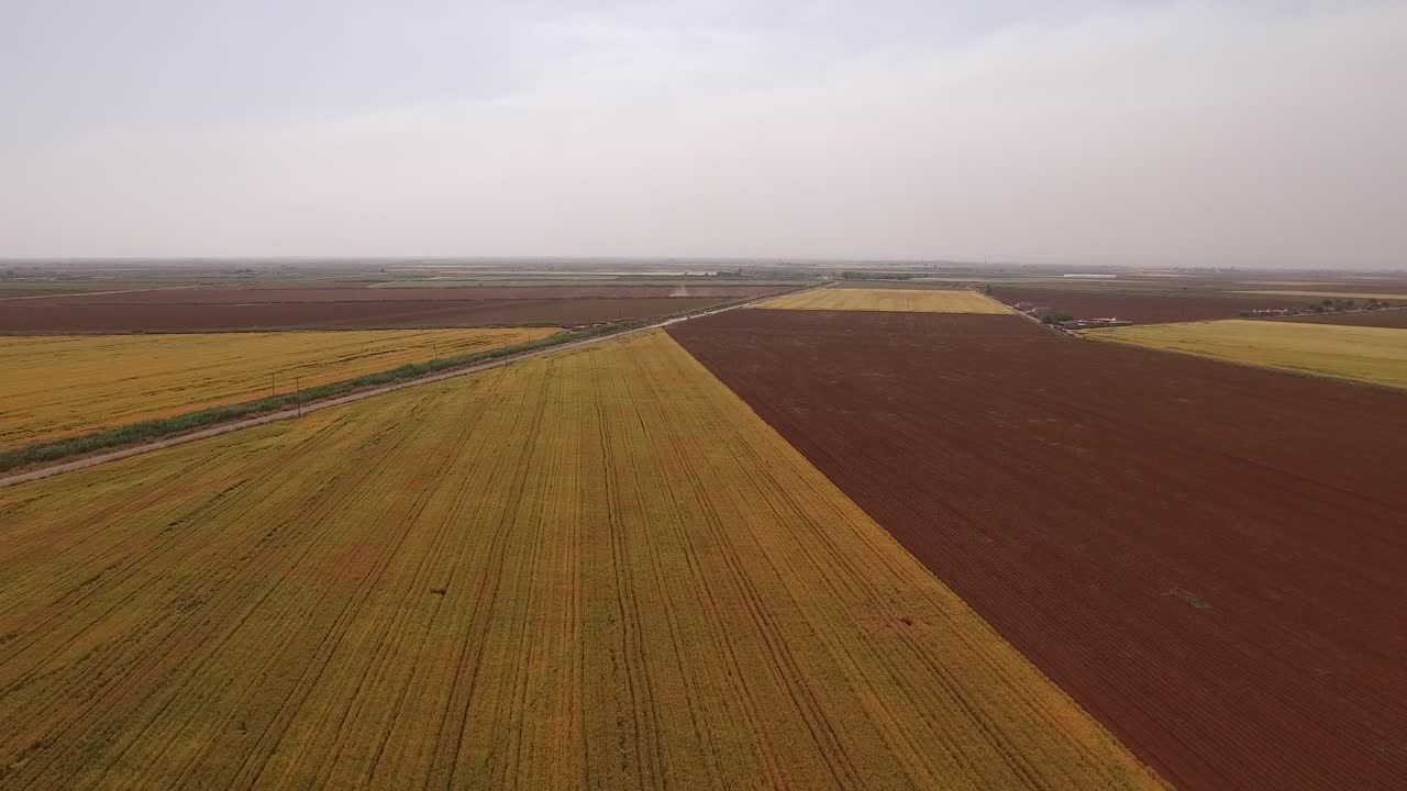 Aerial shot of a large wheat field