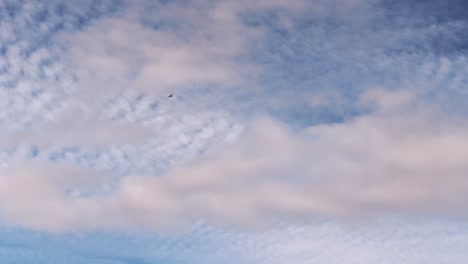 blue skies with stunning clouds and a bird flighting around captured with a drone