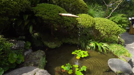 In-Kamakura,-Südlich-Von-Tokio,-Gibt-Es-Einen-Tempel-Mit-Einem-Wunderschönen-Brunnen,-Dessen-Wasser-Aus-Einem-Hohlen-Bambus-Fällt-Und-Dessen-Klang-Ein-Ganz-Besonderes-Gefühl-Von-Frische-Und-Frieden-Vermittelt