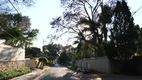 wide shot of a suburban street in johannesburg, south africa