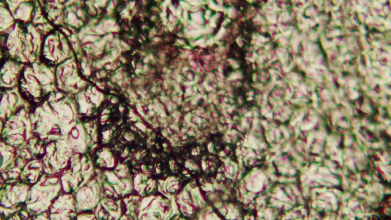 Vista microscopica astratta di cellule organiche in movimento