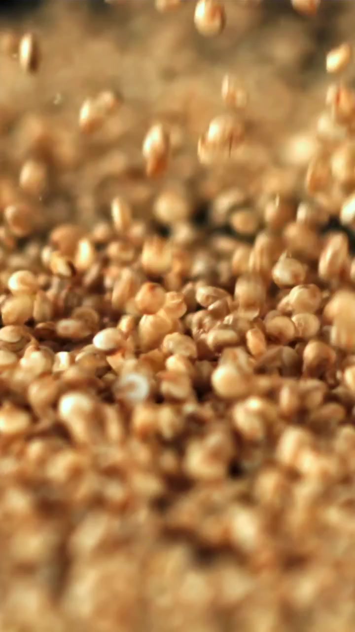 Primo piano al rallentatore di chicchi di quinoa che cadono e si accumulano