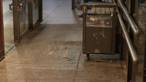 static shot of rats coming to eat food off the floor with a woman sitting and waiting on a bus