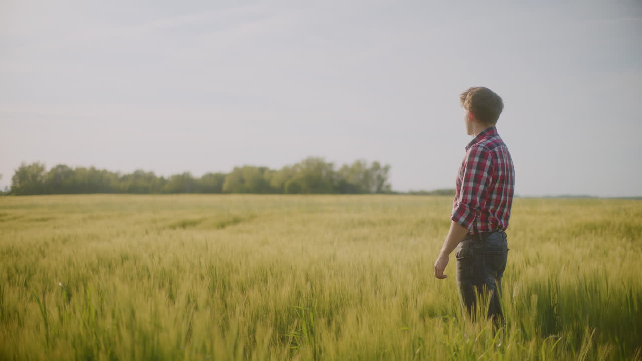Farmer Examines and Analyzes Quality of Crops in Agricultural Field
