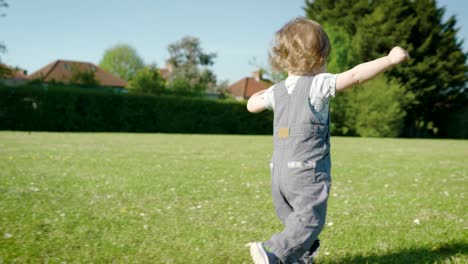one year old discovering the park with unsteady but sure new steps, warm light