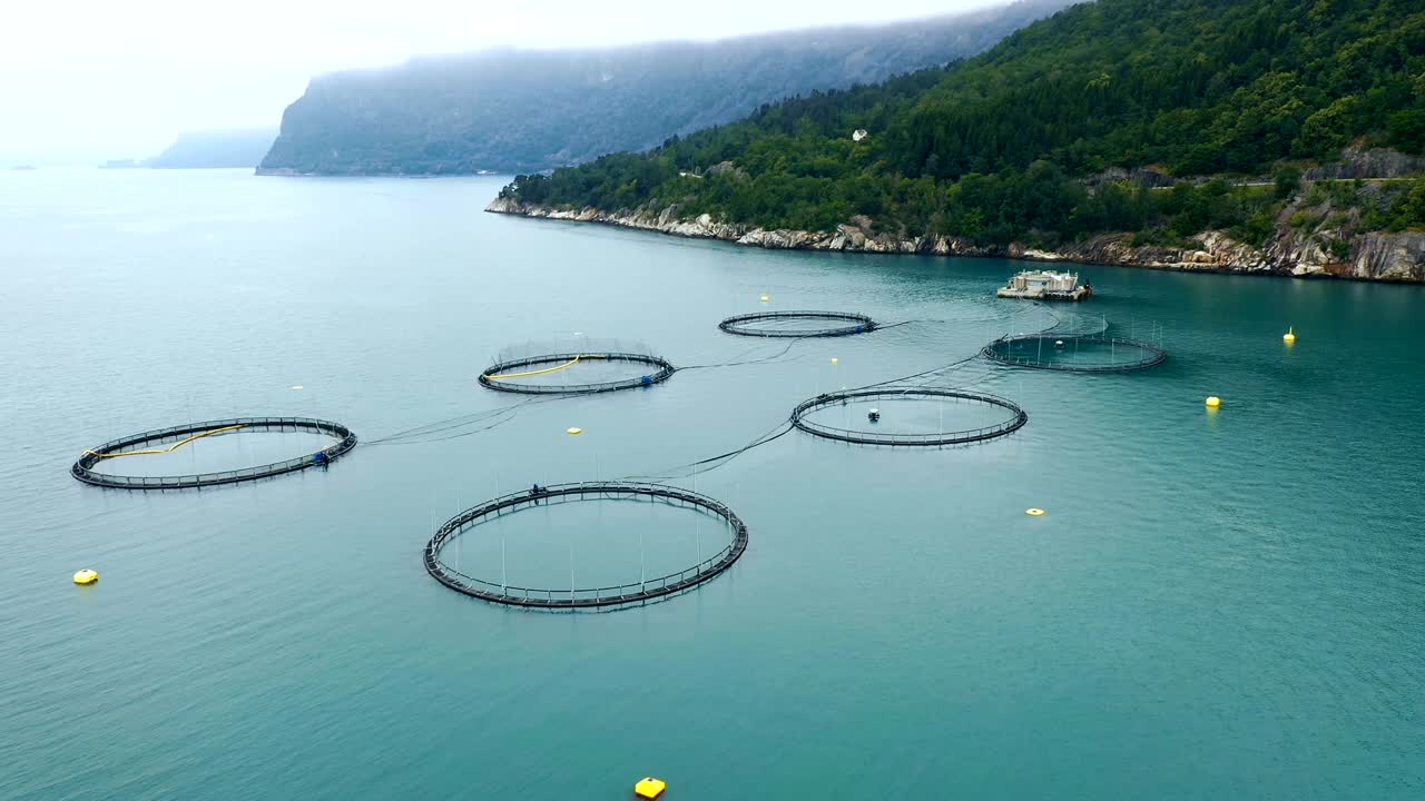 노르웨이에서 연어  ⁇ 시를 하는 공중 촬영