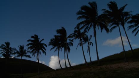 Palm-trees-blow-in-the-wind-on-a-remote-tropical-beach