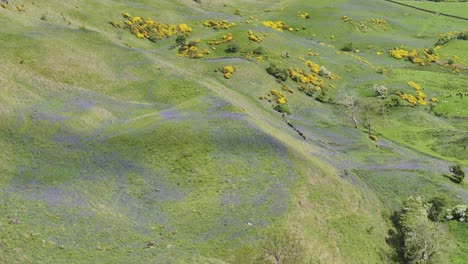 Sallagh-Brae&#39;s-En-La-Carretera-De-La-Costa-De-Antrim-En-Irlanda-Del-Norte