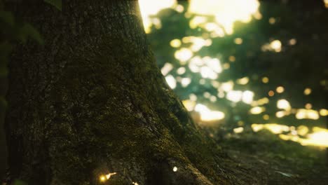 fantasy firefly lights in the magical forest