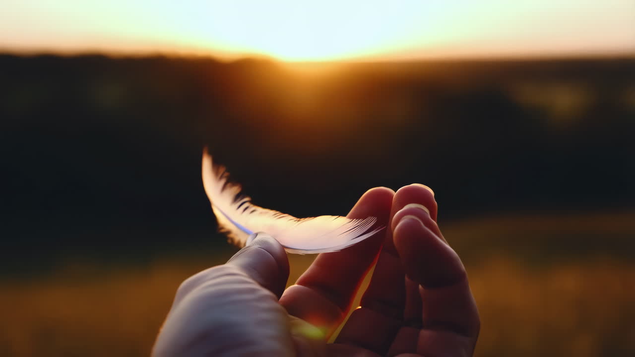 A feather held in hand during sunset