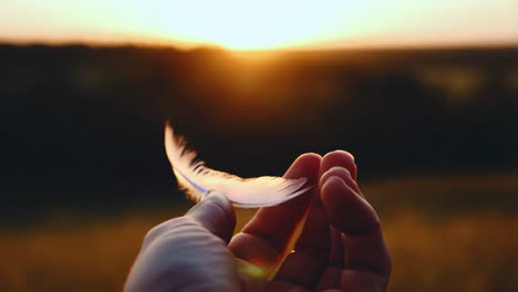a feather held in hand during sunset