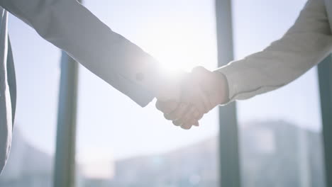 close-up-business-people-shaking-hands-successful-corporate-partnership-deal-welcoming-opportunity-for-cooperation-in-office-4k-footage