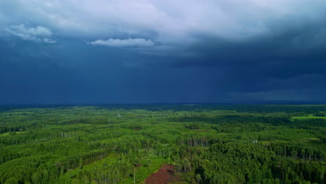 Nubes-De-Tormenta-De-Color-Azul-Oscuro-Y-Gris-Se-Reúnen-Sobre-Un-Denso-Bosque-Despejado-Debajo