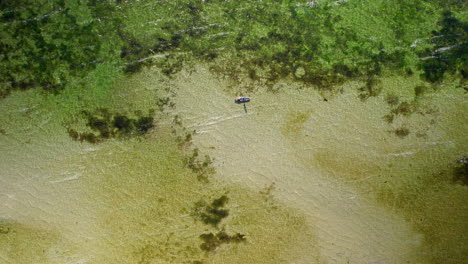 a breathtaking aerial shot of kuźnica's crystal clear waters reveals visible underwater vegetation and a small canoe paddling on the surface