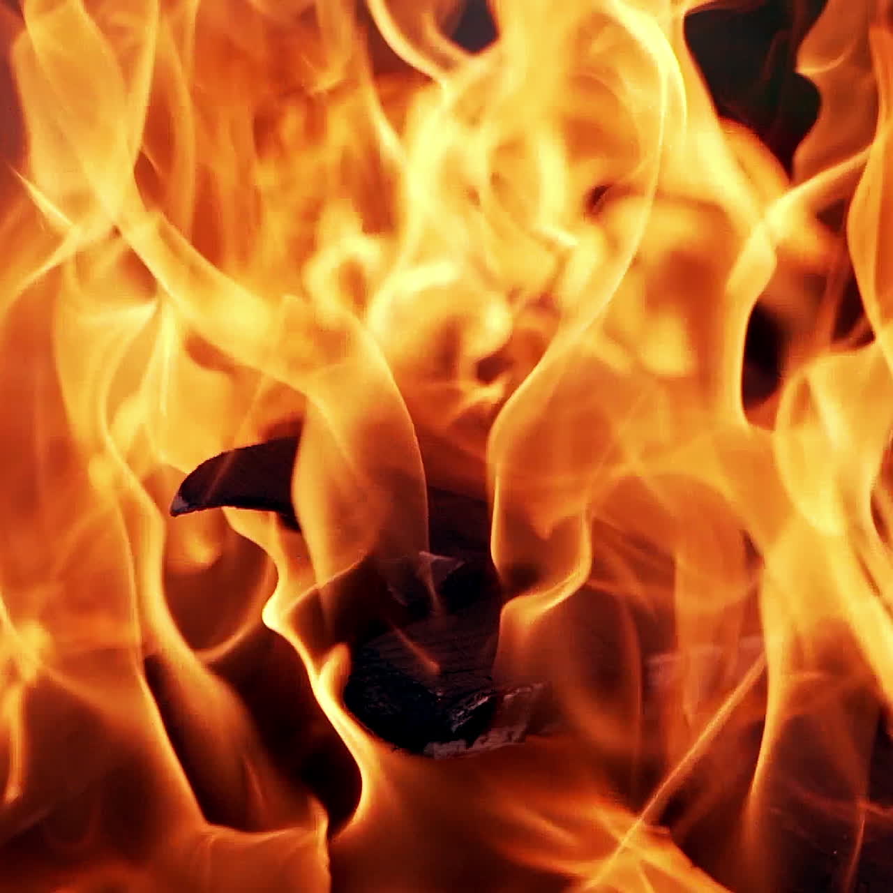 Burning fire. Bonfire. Close Up of flames burning on black background, slow motion