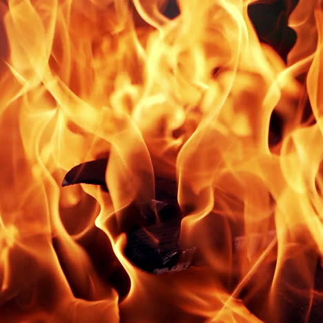 burning fire. bonfire. close up of flames burning on black background, slow motion