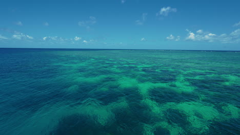 great barrier reef in the coral sea