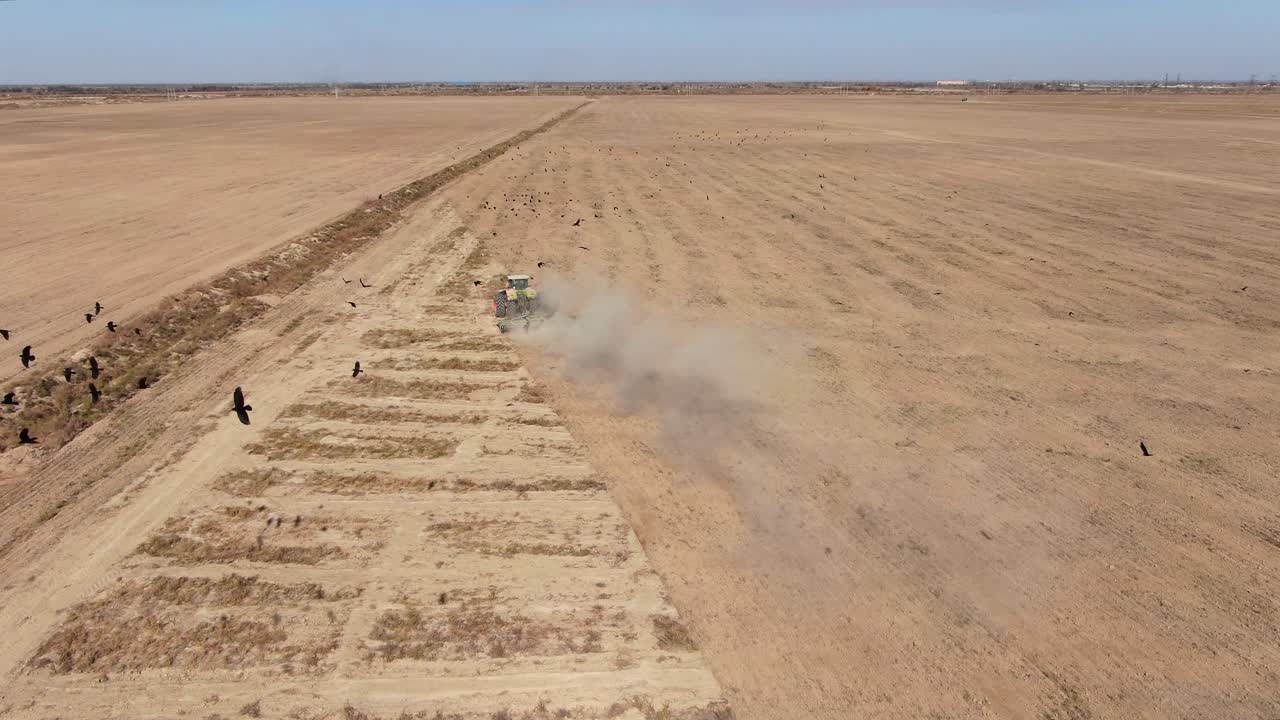 우크라이나 키예프에서 여름에 농업 트랙터 경작지와 함께 날아가는 검은 새 무리