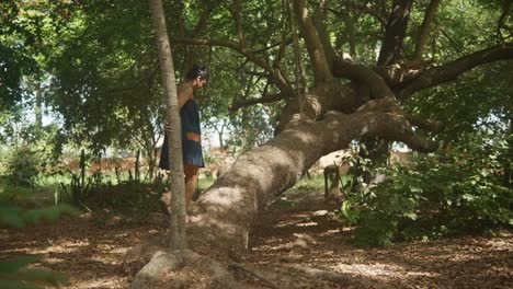 young-woman-climbing-walking-on-a-tree-branch-of-a-blossom-trees-in-the-forest