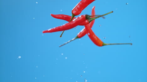 four small chili peppers jumping in air, spinning and rotating with water droplets