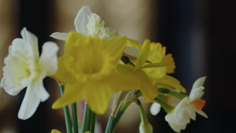 panning close up shot of a bouquet of daffodils