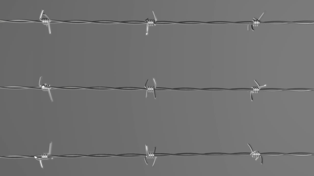 Barbed Wire Loop 04