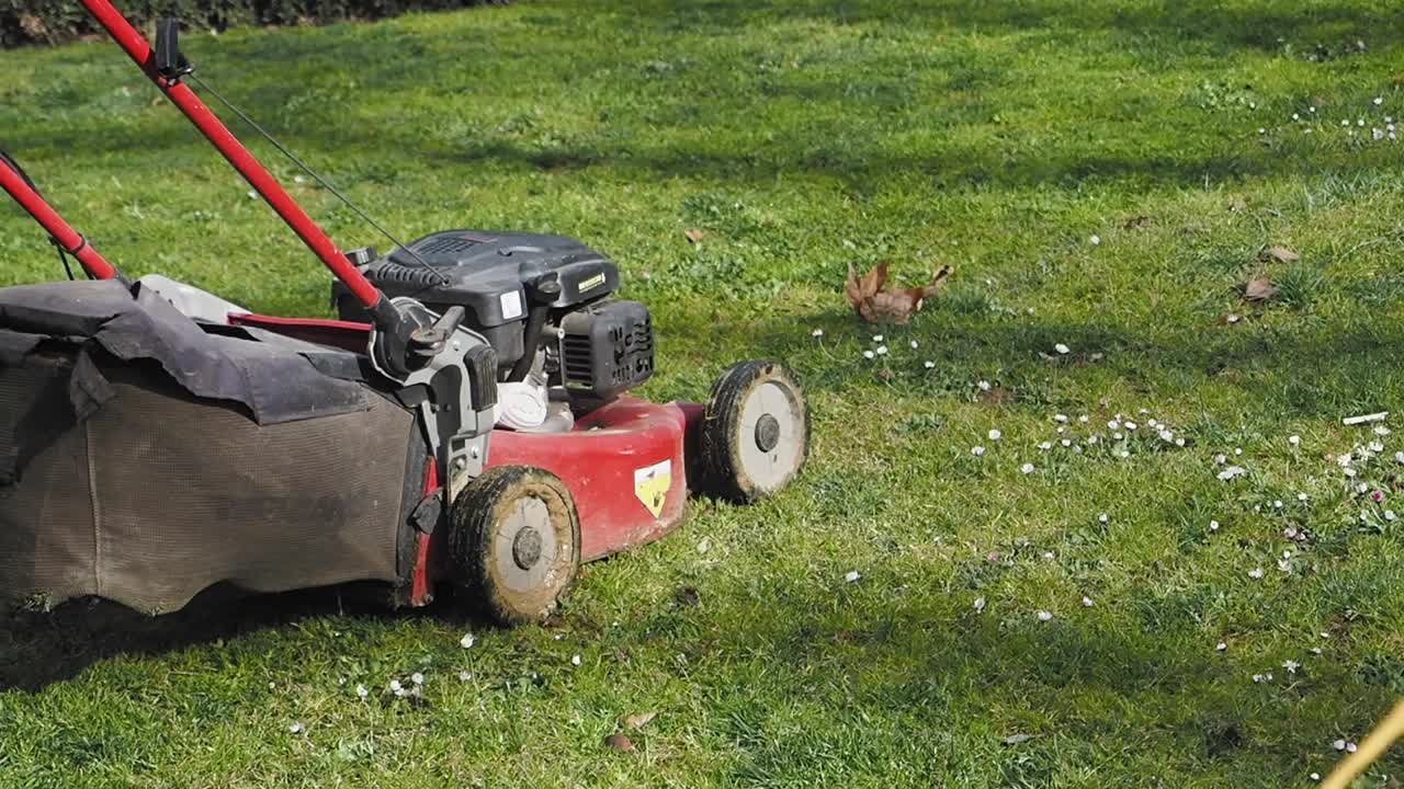 마당 에 있는 잔디 기 기계