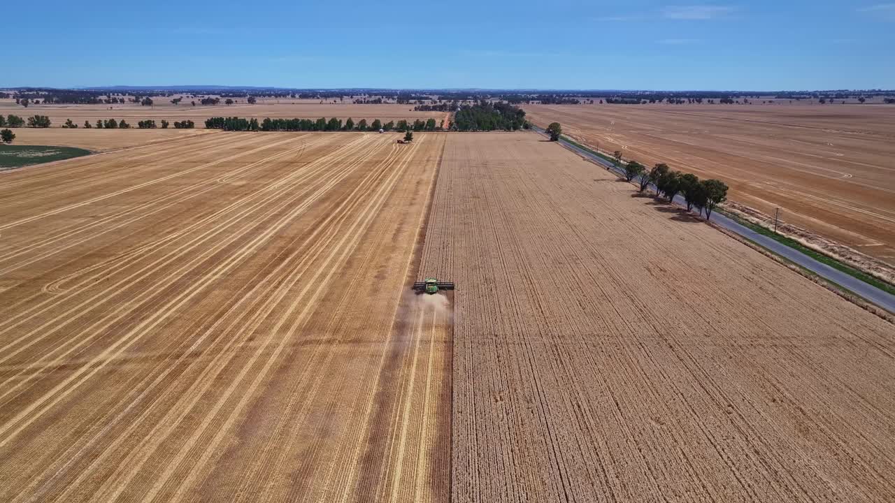 Aerial moving along behind a working wheat harvester and showing paddocks and hills beyond
