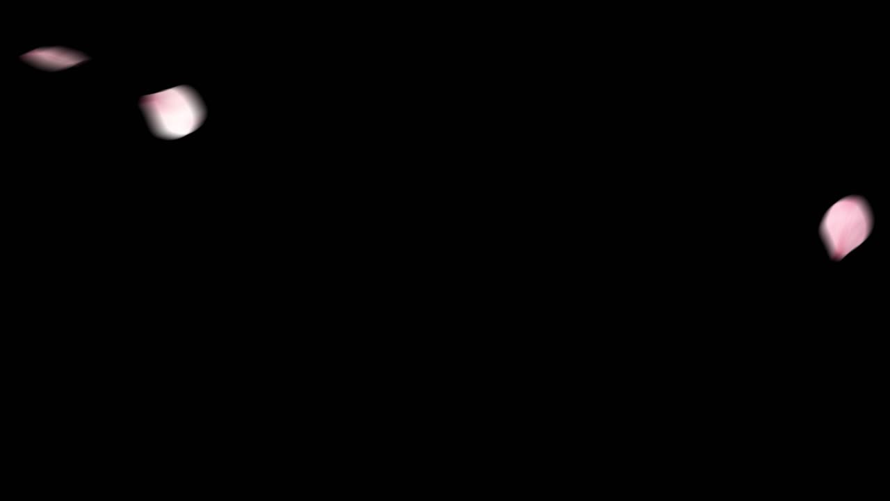 비디오 오버레이를 위한 꽃 닫기, 잎 산란