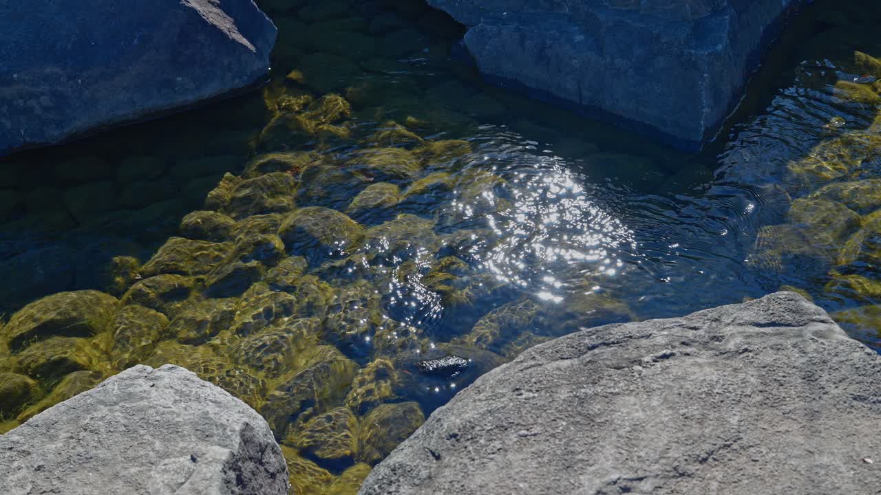Una splendida inquadratura di luce solare intensa che luccica e si riflette sulla superficie di un ruscello limpido con rocce muschiose sott'acqua.