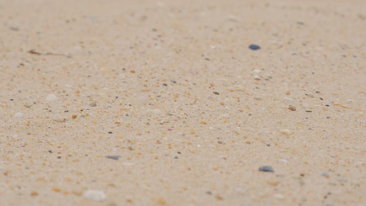 Sand with shells and rocks