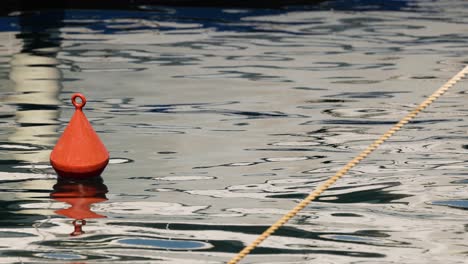 red buoy floating on calm water surface