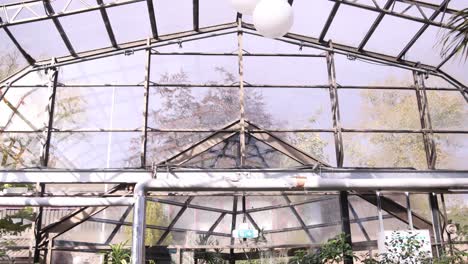 interior of tropical green house at the botanic gardens in inverness, scotland in the highlands