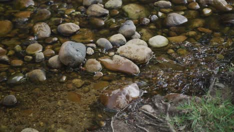 Close-up-of-a-river-