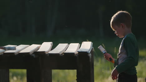 little boy painting wooden boards at sunset in garden