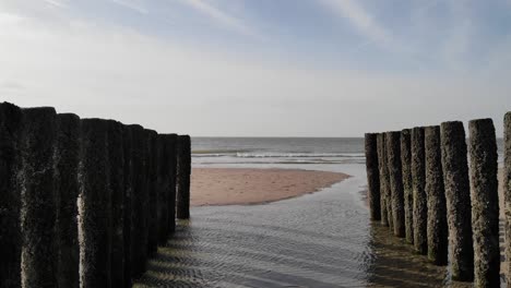 row of old wooden piles on seashore with splashing waves in brouwersdam, netherlands