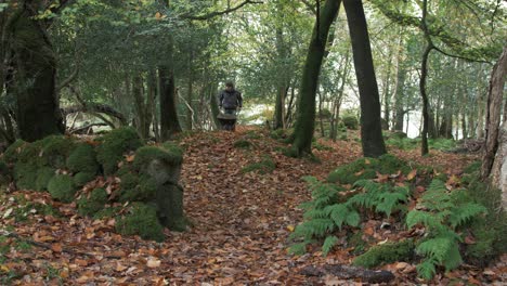 joven empujando una carretilla en el bosque sobre el follaje del suelo del bosque otoñal