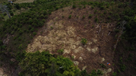 Dry burned patch of land for deforestation process in South Vietnam, Phuoc Bingh National Park