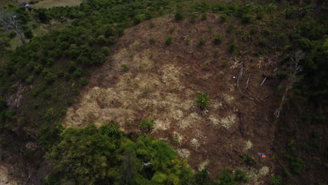 parche de tierra quemado seco para el proceso de deforestación en el sur de vietnam, parque nacional phuoc bingh