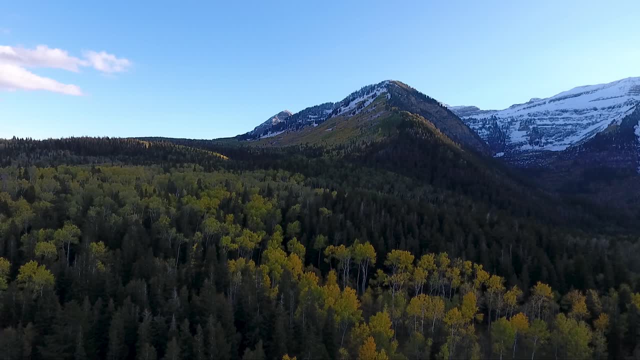 Un drone vola all'indietro sopra la Foresta Nazionale di Uintah vicino al Monte Timpanogos, Utah