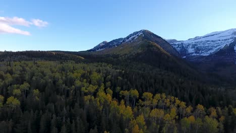 a drone flies in reverse over the uintah national forest near mount timpanogos, utah.