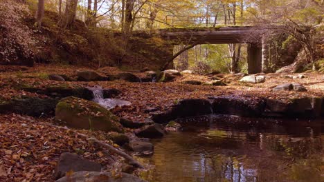 low drone footage over small river in autumn